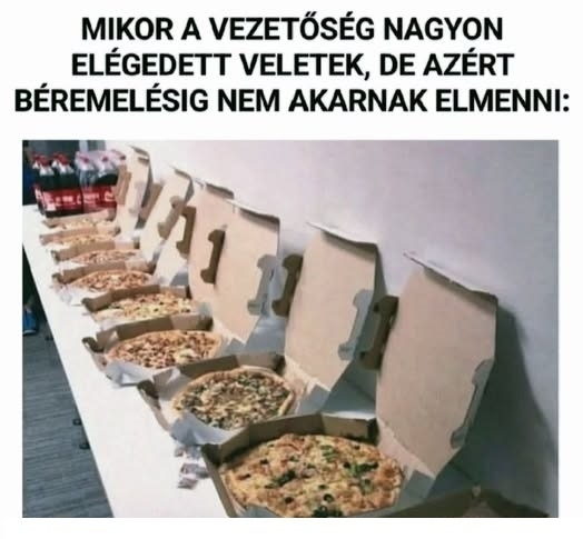 Főnök, elég lett volna sima sajtos is!