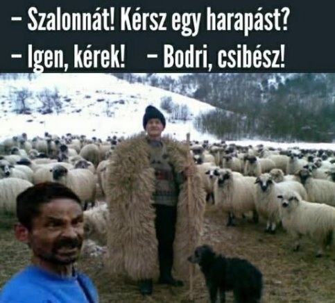 Mit eszel juhász?