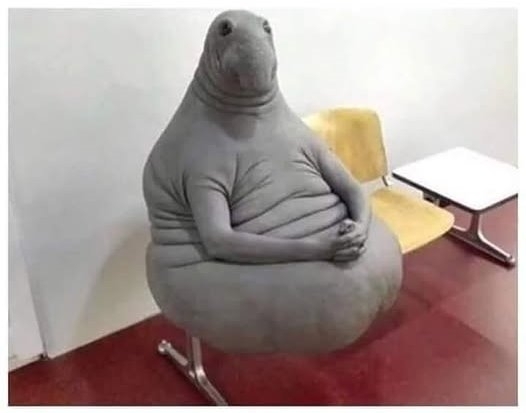 Amikor megkopasztod a zacsit és a csaj lemondja az estét