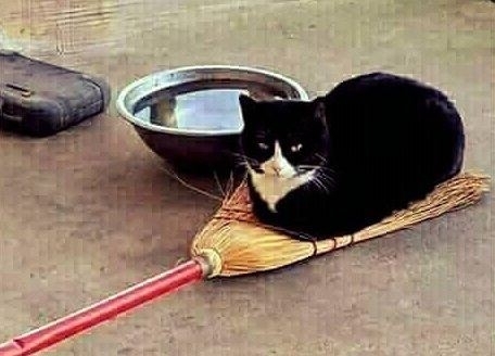 Amikor az anyós reinkarnálódik