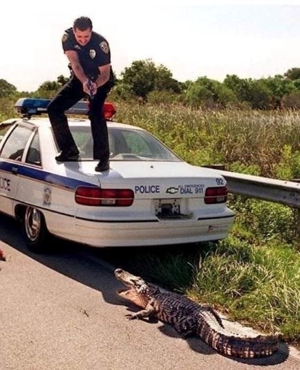 Eközben Floridában