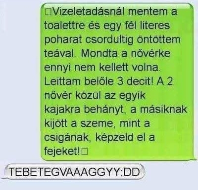 Megtréfálta kicsit a nővéreket