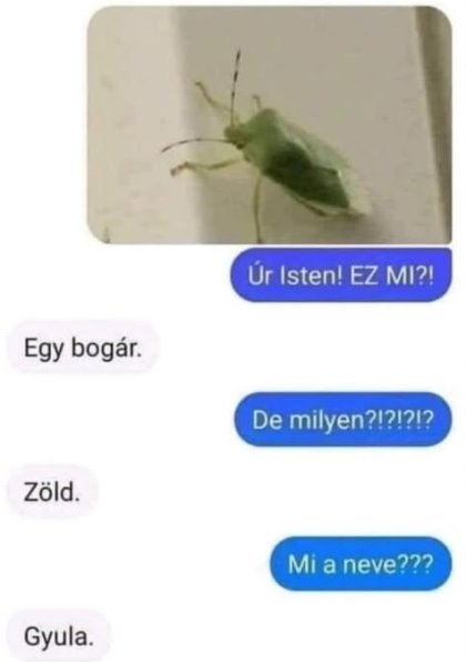 Én a miénket Sanyinak hívom 🙂