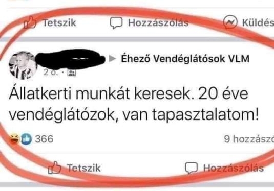 Napi apró