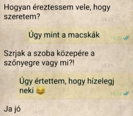 Tanácsort kért egy ismerősétől