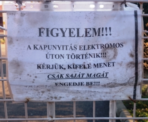 Napi tennivaló - Kifelé engedd be magad