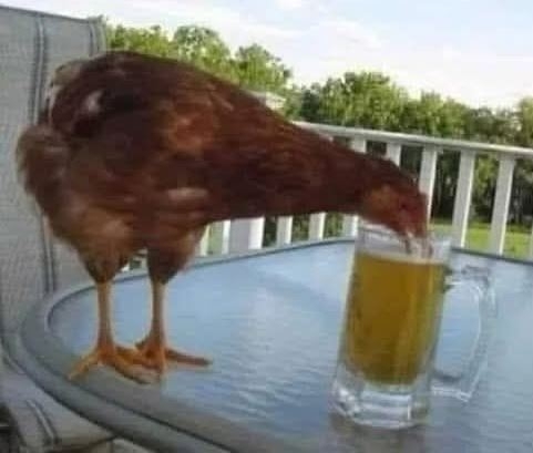 A pillanat, amikor eldőlt, hogy ebédre paprikás csirke lesz galuskával