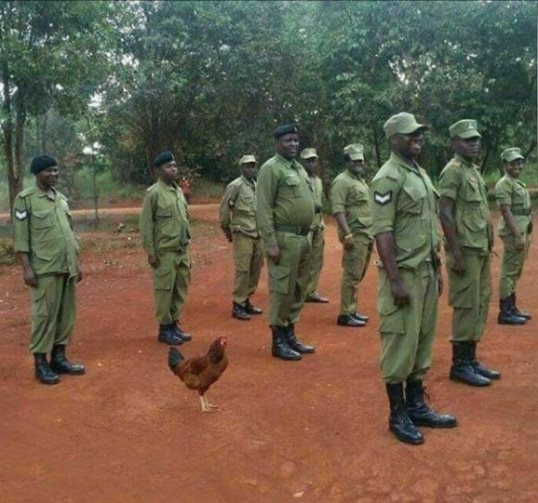 Felsorakozott az egész szakasz