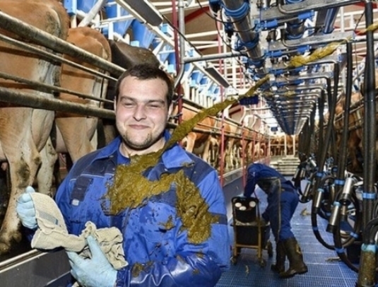 Induljon jól a reggel