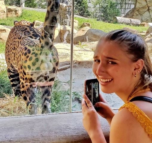 Eközben az állatkertben