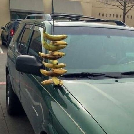 Valaki megtréfálta kicsit a tulajt