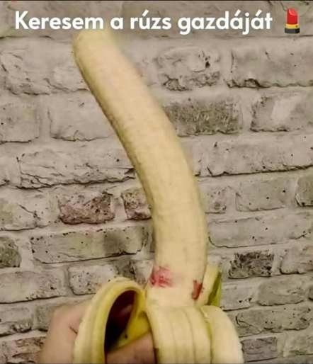 Mélytorok - A pasik többsége valószínűleg kedveli