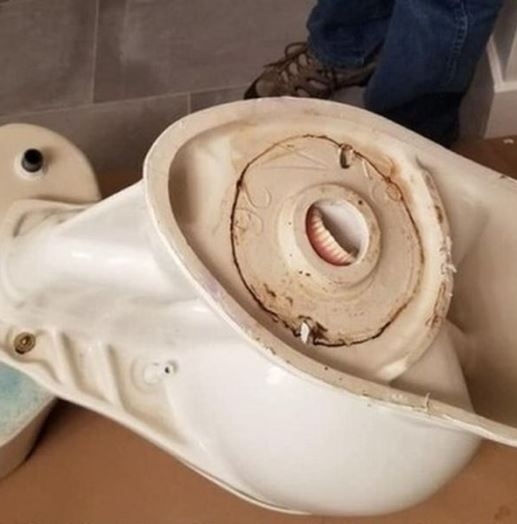 Végre előkerült a nagyfater protkója