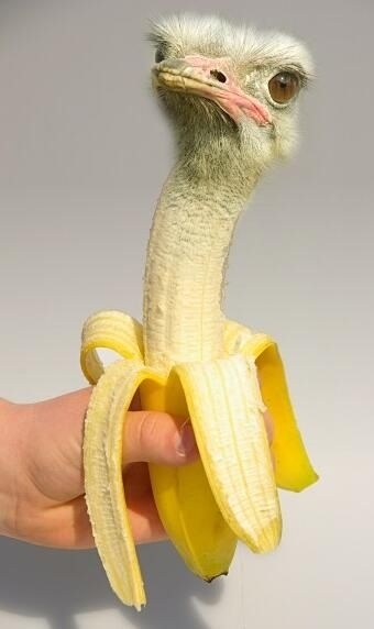 Befutott egy érdekes photoshop munka