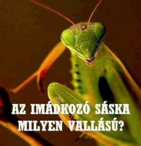 Befutott a nap kérdése