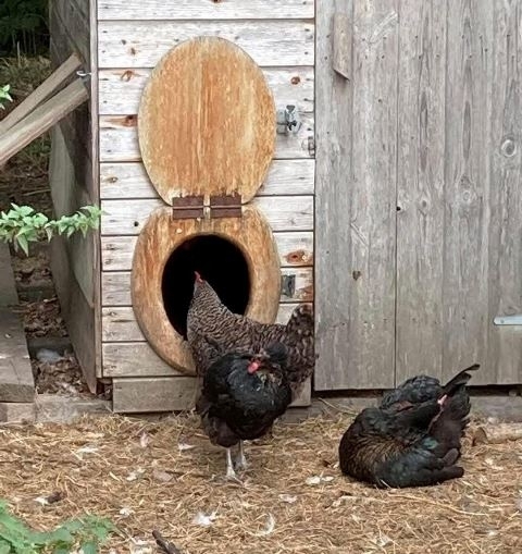 Kiderült, hogy erre is használható