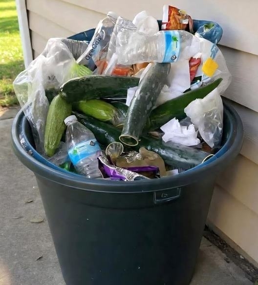 Ezek az uborkák megdolgoztak a pénzükért