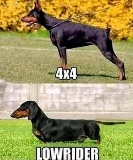 4x4 vs. Lowrider
