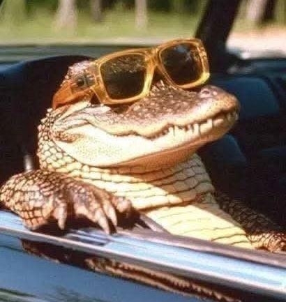 Finishben vagyunk, bepéntekült!