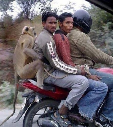 Csak egy átlagos nap Indiában