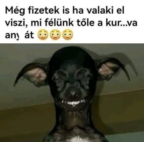 Nagyon aranyos, de most ingyen elvihető