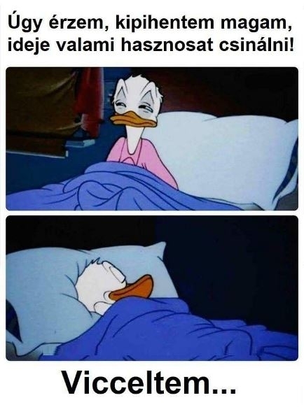 Vasárnapi hangulatban