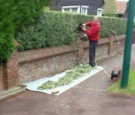 Új család költözött a szomszédunkba