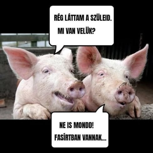 Nyugodjanak békében!