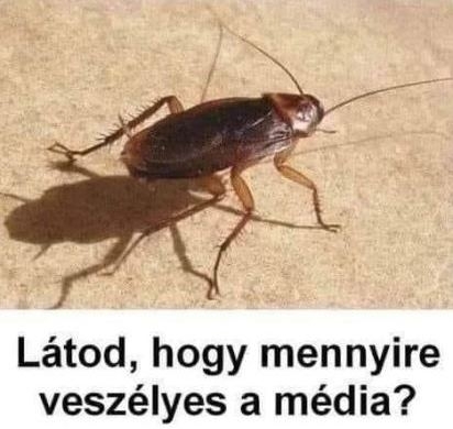 A csótány képes túlélni egy atomháborút, de ha leütöd egy újsággal, akkor megdöglik