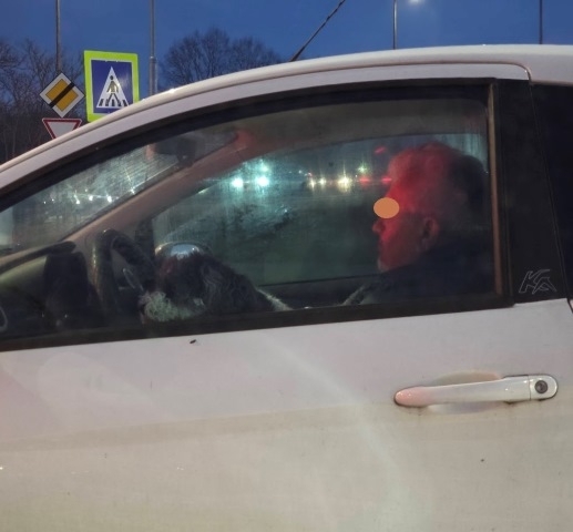 Fifike és Béla néni