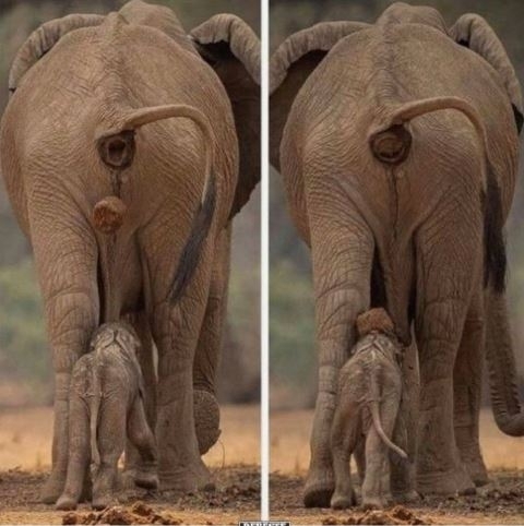 Szegénynek sz@rul indult a reggel