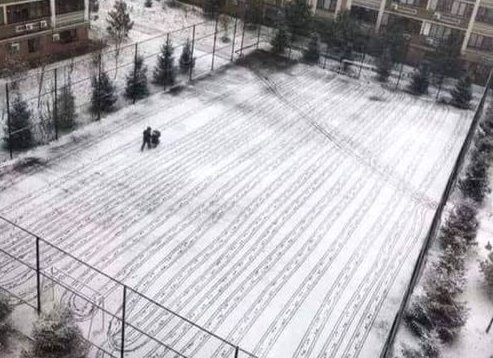 Amikor egy traktorosra bízzák a babakocsit