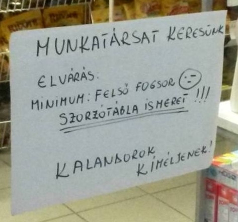 Állásajánlat 😮