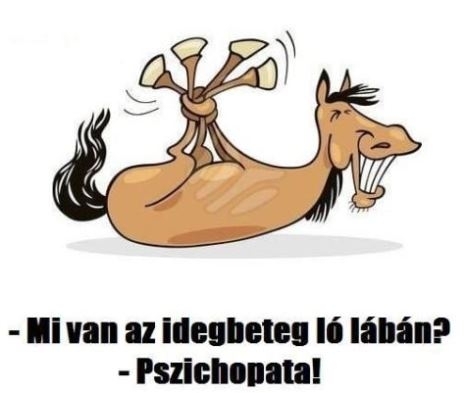 Most már ezt is tudjuk