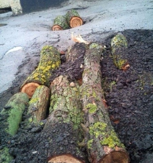 Kátyúmentesítés - Brutál verzió