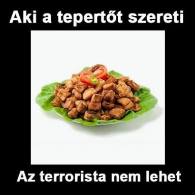Napi tényfeltáró