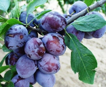 Erre majd figyeljünk nyáron