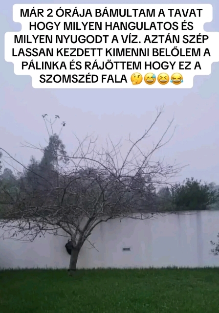 Elsőre tényleg megtévesztő