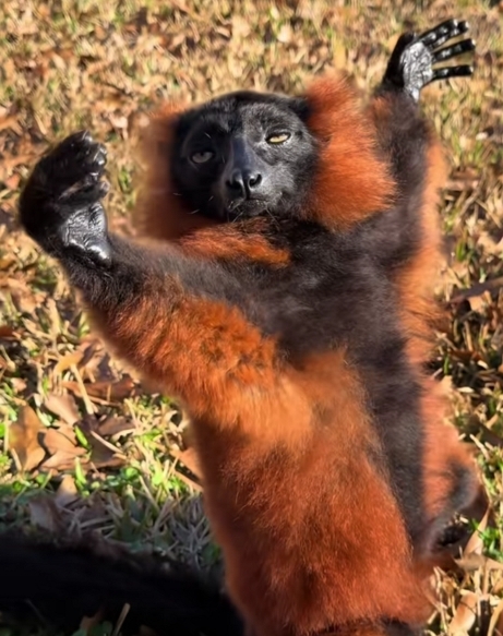 Gyere péntek, már látlak!