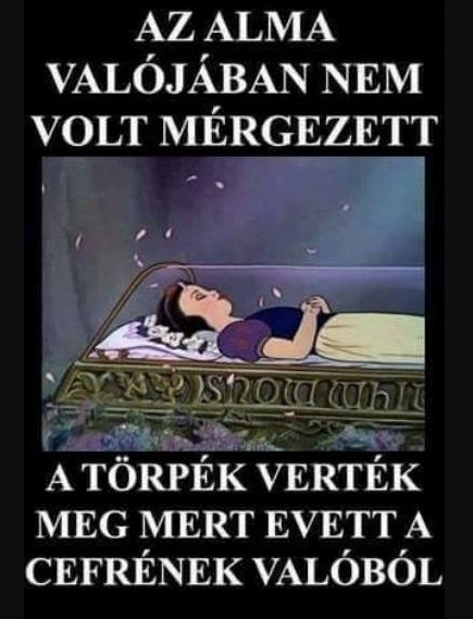 Fény derült az igazságra