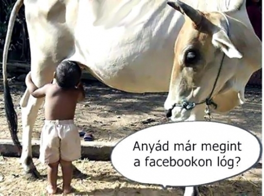 Könnyen elképzelhető