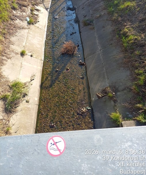 Olyan sokan akartak beleugrani?