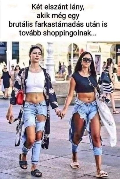 Ügyes farkas volt nem harapott 🙂