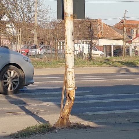 Néhány évig még kibírja