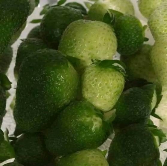 Hunyorítsd a szemed!