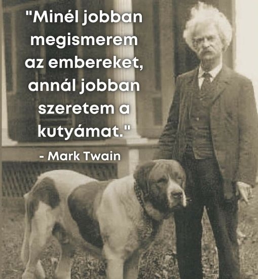 Tény, hogy elég sok ember tart kutyát 