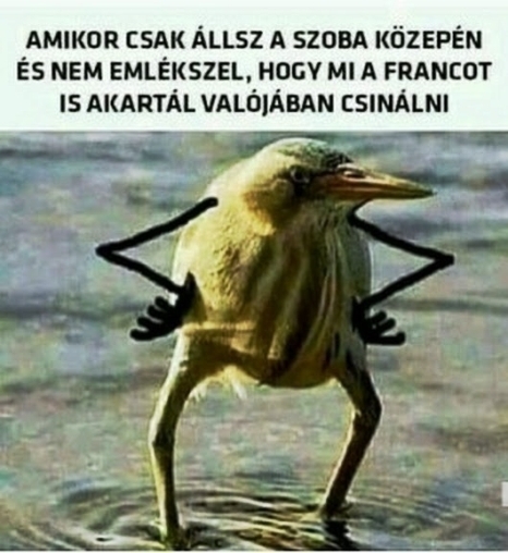 Szokott ilyen lenni 🙂