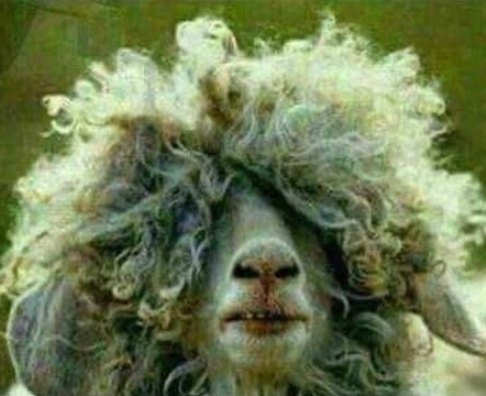 Amikor leszállsz a motorról, és leveszed a sisakot