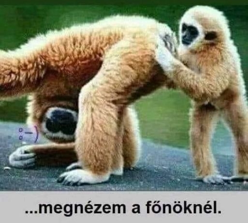 Eltűnt az egyik kollégánk