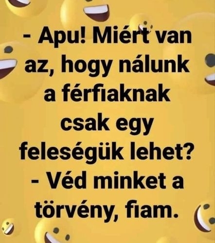 Érdeklődik a gyerek